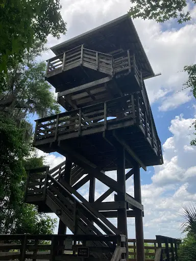 This is the lookout tower at Payne's Prairie Park that stands 3 stories tall and looks over the open range