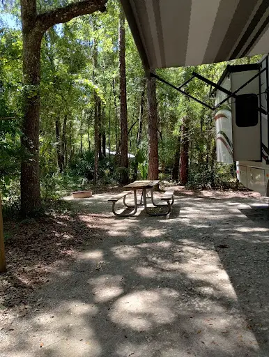 A campsite at Payne's Prairie Preserve Park in the wooded canopy areas of the park